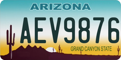 AZ license plate AEV9876