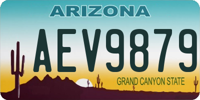 AZ license plate AEV9879