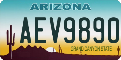 AZ license plate AEV9890