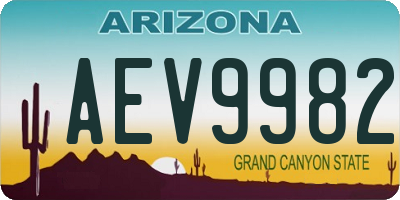 AZ license plate AEV9982
