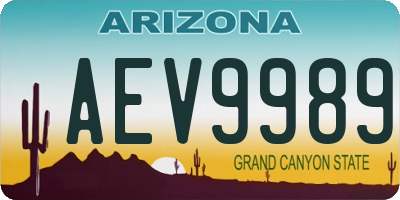 AZ license plate AEV9989