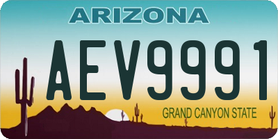 AZ license plate AEV9991