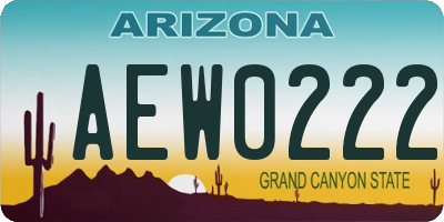 AZ license plate AEW0222