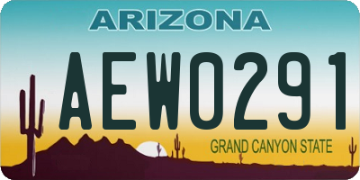 AZ license plate AEW0291