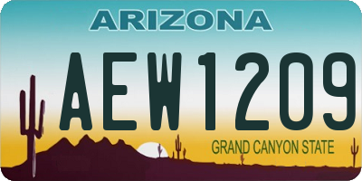 AZ license plate AEW1209