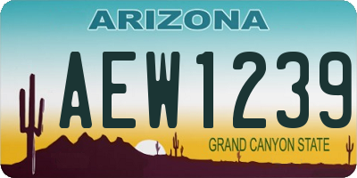 AZ license plate AEW1239