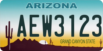 AZ license plate AEW3123