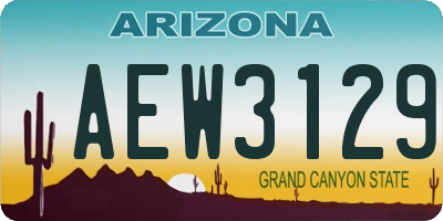 AZ license plate AEW3129