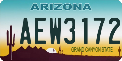 AZ license plate AEW3172