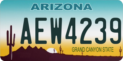 AZ license plate AEW4239