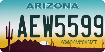 AZ license plate AEW5599