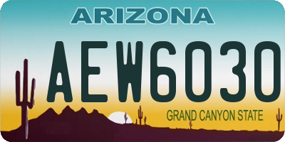 AZ license plate AEW6030