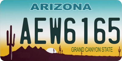 AZ license plate AEW6165