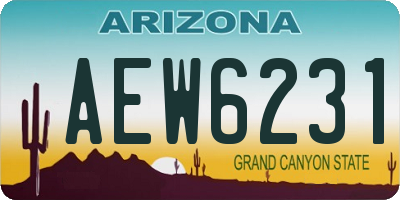 AZ license plate AEW6231