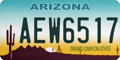 AZ license plate AEW6517
