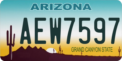 AZ license plate AEW7597