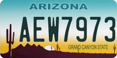 AZ license plate AEW7973