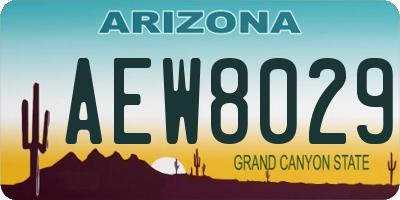 AZ license plate AEW8029