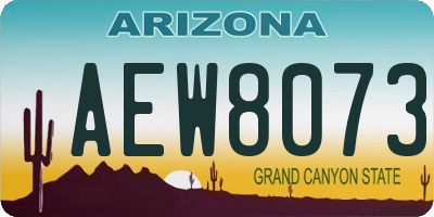 AZ license plate AEW8073