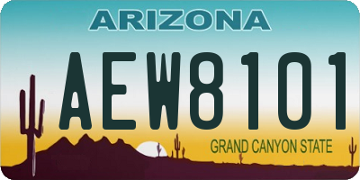 AZ license plate AEW8101
