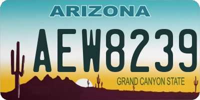 AZ license plate AEW8239