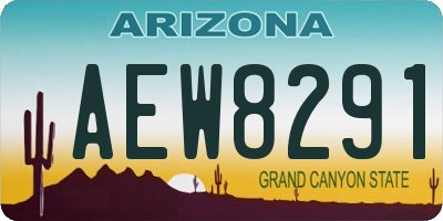 AZ license plate AEW8291