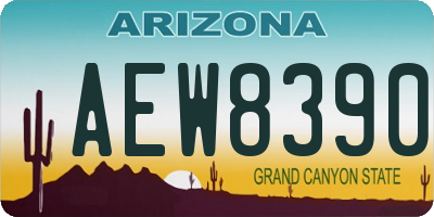 AZ license plate AEW8390