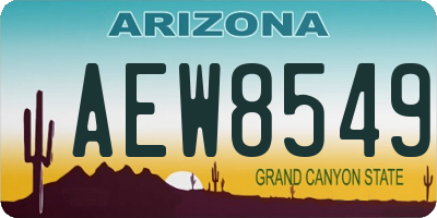 AZ license plate AEW8549