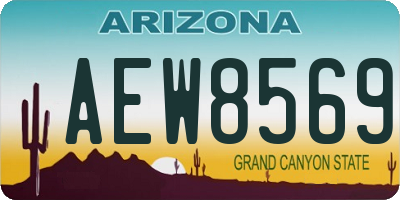 AZ license plate AEW8569