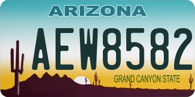 AZ license plate AEW8582