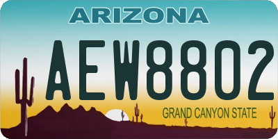 AZ license plate AEW8802