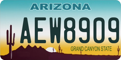AZ license plate AEW8909