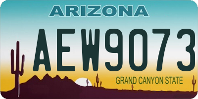 AZ license plate AEW9073