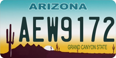 AZ license plate AEW9172