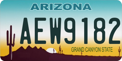 AZ license plate AEW9182