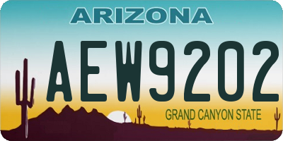 AZ license plate AEW9202