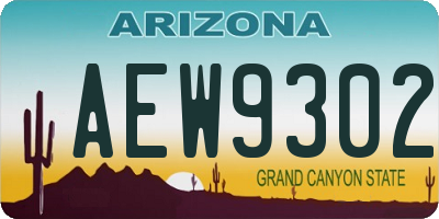 AZ license plate AEW9302