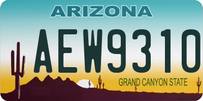 AZ license plate AEW9310