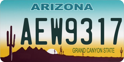 AZ license plate AEW9317