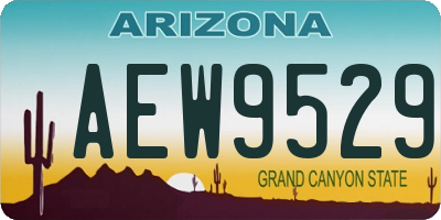 AZ license plate AEW9529