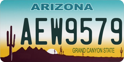 AZ license plate AEW9579
