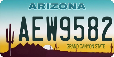 AZ license plate AEW9582