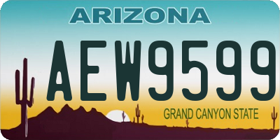 AZ license plate AEW9599