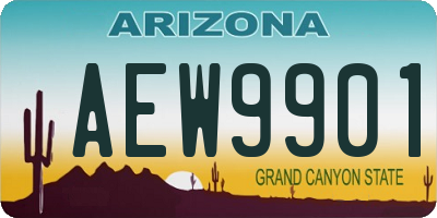 AZ license plate AEW9901
