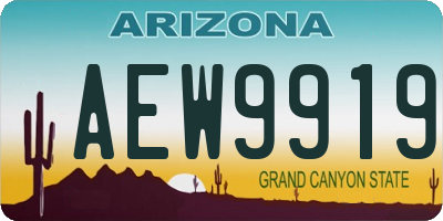 AZ license plate AEW9919