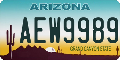 AZ license plate AEW9989