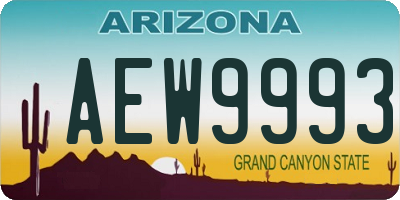 AZ license plate AEW9993