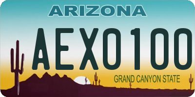 AZ license plate AEX0100