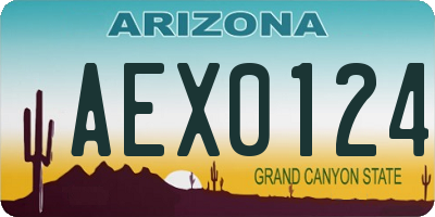 AZ license plate AEX0124