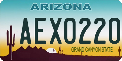 AZ license plate AEX0220